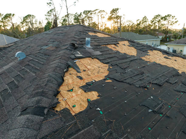 Best Storm Damage Roof Repair  in Martsville, IN